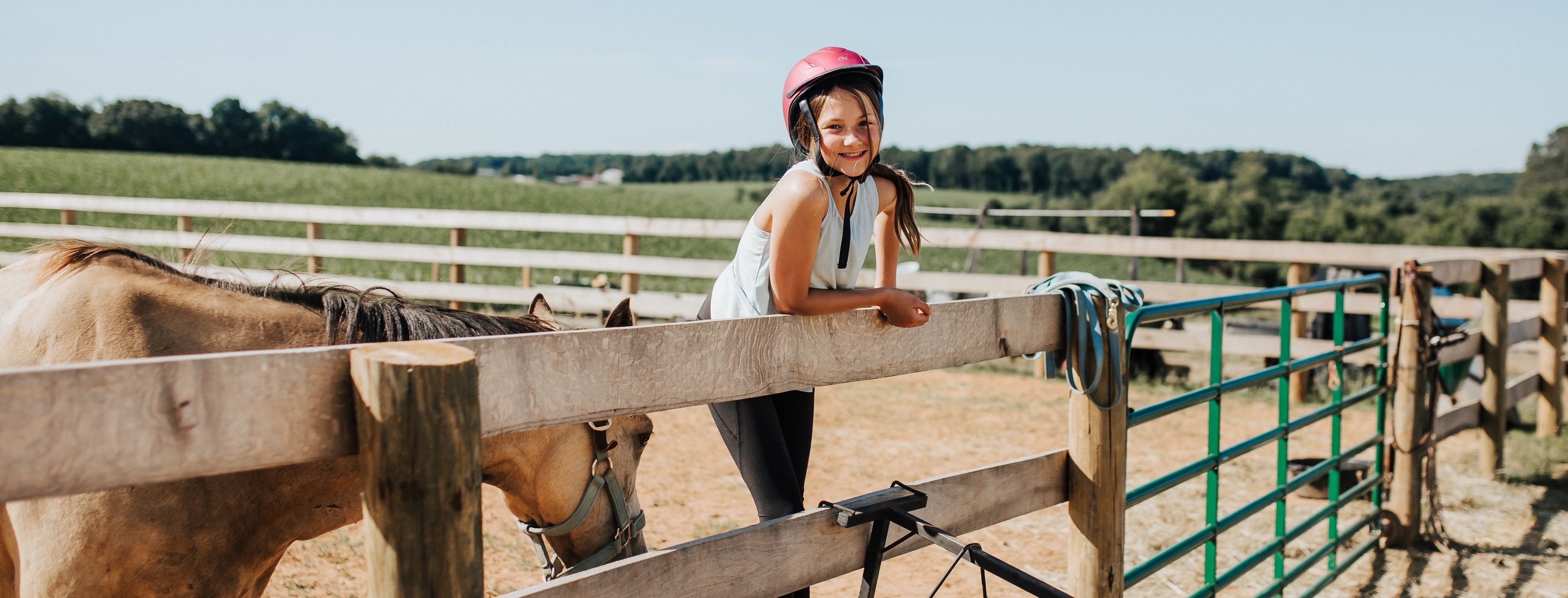 Farmyard Lessons riding-lessons | The Farmyard